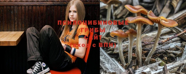 спиды Беломорск