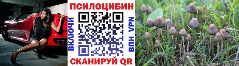 Галлюциногенные грибы Magic Shrooms Жуков